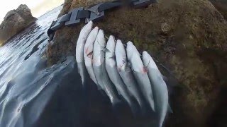 Подводная охота в Черном море как она есть "день 5"