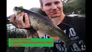 Ловля голавля на спининг в реке Краснодарского края  Июнь г Туапсе