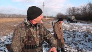 ОХОТА НА ЗАЙЦА/The hunting of the hare