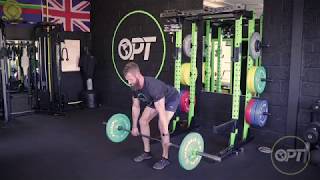 How to: Barbell Rows | Back | Tutorial and Tips | OPT