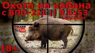 9.6х53 Lancaster по зверю || ОХОТА НА КАБАНА || Wild boar hunting