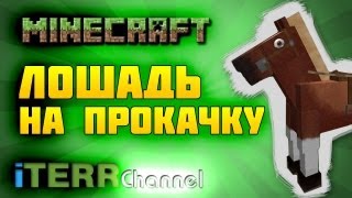 Minecraft. Лошадь На Прокачку.