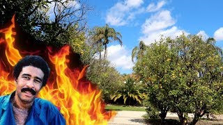 #965 Where Did RICHARD PRYOR Set Himself On Fire? Jordan The Lion Daily Travel Vlog (3/29/19)