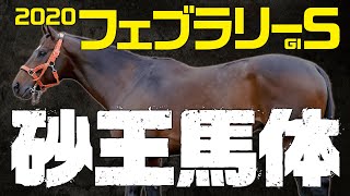 【フェブラリーS】2強では決まらない！元大手牧場スタッフの馬体評価トップ３！G1フォトパドック フェブラリーステークス 2020【競馬 予想】