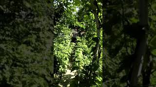 Недвижимость Краснодарского края