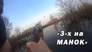 Охота на селезня с манком 2018 г. "Подманил троих за утро"