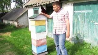 Альпійський вулик чи вулик Роже Делона / Альпийский улей.
