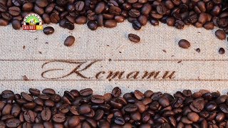 Программа "Кстати": Журналист, блогер Игорь Гомольский