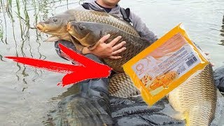 БАЛДЕЮ СКОЛЬКО РЫБЫ ОТ ЭТОЙ ДОБАВКИ! Реакция рыбы на мёд, подводная съемка и реакция рыбы на мед