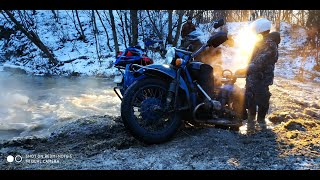 Медведь шатун 2018 / медведь шатун, Урал с коляской на бездорожье, Днепр с коляской