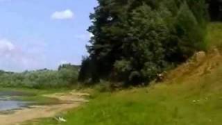 Среды обитания растений