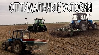 Посев рапса в ОПТИМАЛЬНЫЕ сроки
