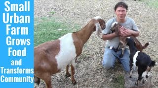 Small Urban Farm in Dallas Grows Food and Transforms Community