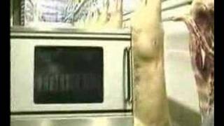 Промышленный убой свиней. Ч. 2