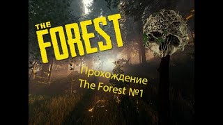 "Начало" выживания - Прохождение The Forest №1