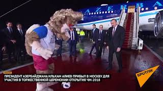 Ильхам Алиев и волк Забивака "сыграли в футбол" в аэропорту Москвы