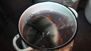 Ожившая уха / Ukha alive