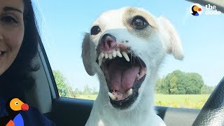 Dog Looks Different But His Family Wouldn't Change A Thing | The Dodo