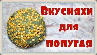 ЛАКОМСТВО-ШАРИКИ из глины для попугая за 5 минут. Глина для попугая.