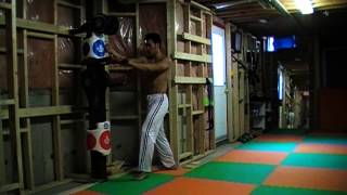 Wing Chun vs Taekwondo