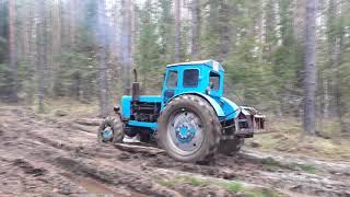 Испытание Т-40АМ и Лебёдки в Тяжёлых лесных условиях!!!