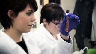 Medical Laboratory Technician Program