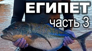 Египет - Красное море. Подводная охота. Часть 3.