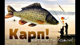 Как вы вообще ловите карпа без этих секретов? Секреты и хитрости при ловле карпа в мае и летом!