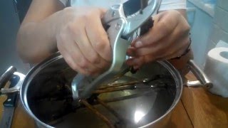 Укоренение черенков винограда.