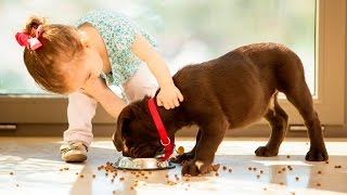 Мир не без добрых людей. Добрые поступки ❤