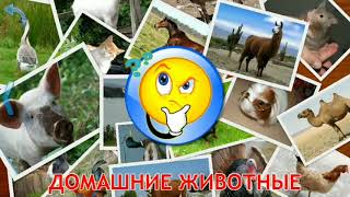 Карточки Домана Часть 1 Домашние животные