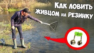 РЫБАЛКА на ЖИВЦА с РЕЗИНКОЙ или КАК СОБРАТЬ РЕЗИНКУ для ЛОВЛИ ХИЩНИКА