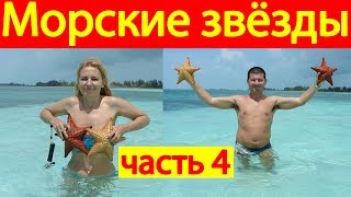 Морские звёзды, остров Кайо Ларго, Куба