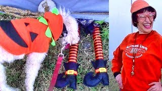 Fun Halloween Prank Gag On My Crazy Neighbor Blanch!