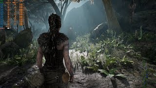 Hellblade on GTX 1060 (6 GB) + Xeon e5 1650 v2 + 16 GB DDR3 (1866 4-ch)