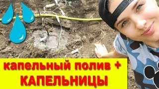 КАПЕЛЬНИЦА для растений! Система капельного полива. Капельный полив своими руками. Juliya