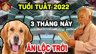 Chỉ Làm 3 Tháng Tuổi Tuất GIÀU HẾT PHẦN THIÊN HẠ Sống Sung Sướng Cả Đời Tiền Tiêu Không Hết