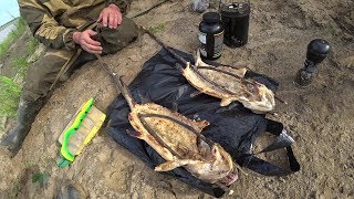 ДИКАЯ КУХНЯ. ЖАРЕНАЯ ЩУКА НА УГЛЯХ НА  РОЖНЕ.