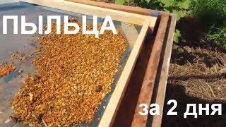 ПЫЛЬЦА/Пасека 2018/Донный пыльцеуловитель/Своими руками