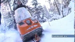 Охота зимой на медведя в Красноярском крае