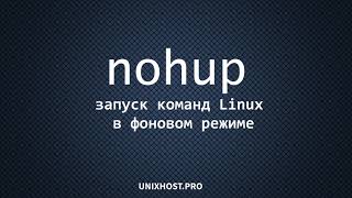 nohup - запускаем процессы в фоновом режиме