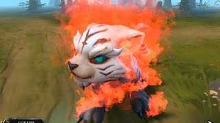 Unusual Baekho - ToBD & Plushy Shag (Baby Pink) - Dota 2 1080p FULLHD