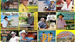 Popurri de Guayabos 6