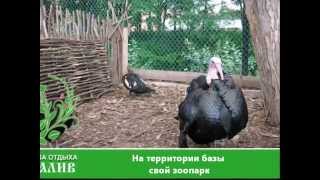 База отдыха "Залив", Нижегородская область