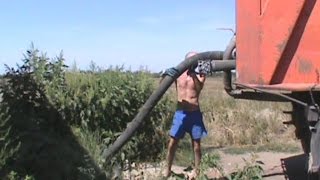 Волгоград: куда сливают бытовые отходы?