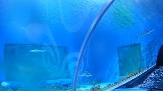 Aquapark REDA z REKINAMI // PARK WODNY // Jak było oceńcie sami :)))