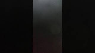 Мирской Красавец весь сцветёт так. (15*15)