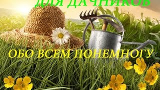 ОБЗОР СЕМЯН