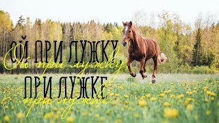 ОЙ ПРИ ЛУЖКУ, ПРИ ЛУЖКЕ / Разбор на гармони