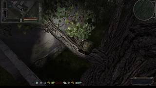 S.T.A.L.K.E.R.: Народная Солянка 2016. Тайник Злобного на Агропроме. (На дереве)